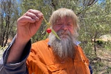 A man with a shaggy grey hair and beard, wearing a fluro orange work shirt, hold up a small red quandong