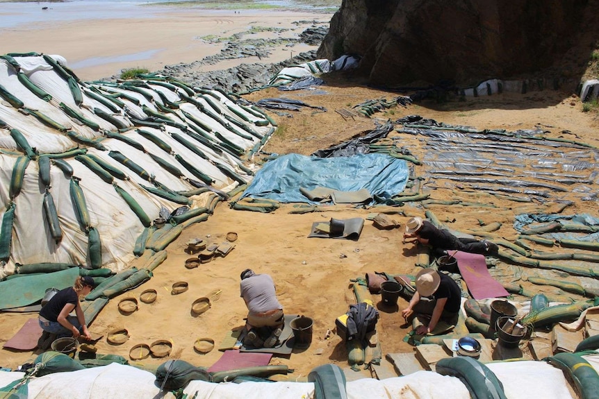 Archaeologists excavating fossilised footsteps at Le Rozel in France