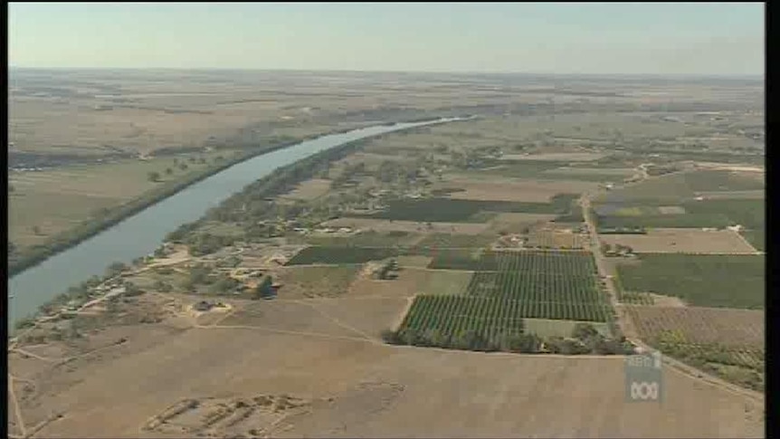 Murray irrigators in SA get 24pc entitlement