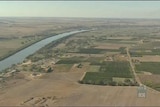 Murray irrigators in SA get 24pc entitlement