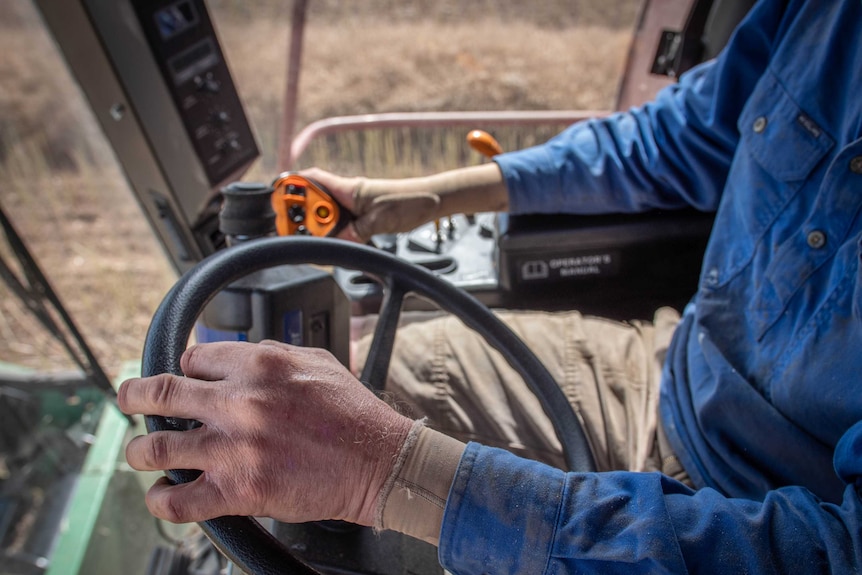 A hand on a steering whee inside a header harvesting, the man wears pressure bandages on both arms.