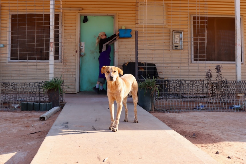 A dog stands in the foreground, Bonnie is behind reaching to put food in a blue plastic container nailed near the door