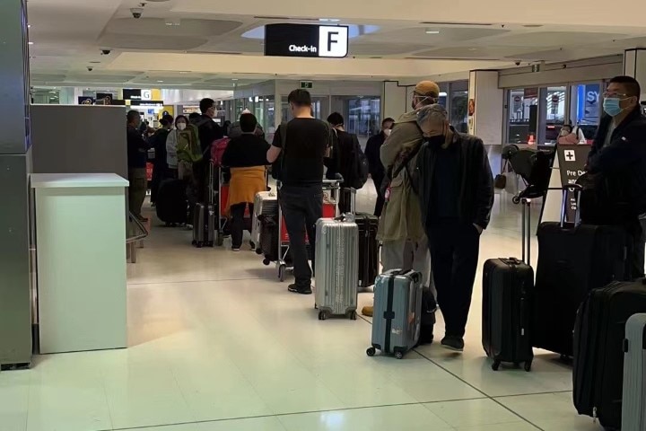 A queue at an airport, people with their luggage. 