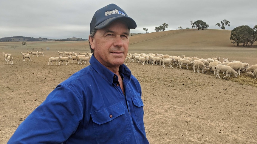 Chris Blunt stands on a dry, brown field with sheep behind him.