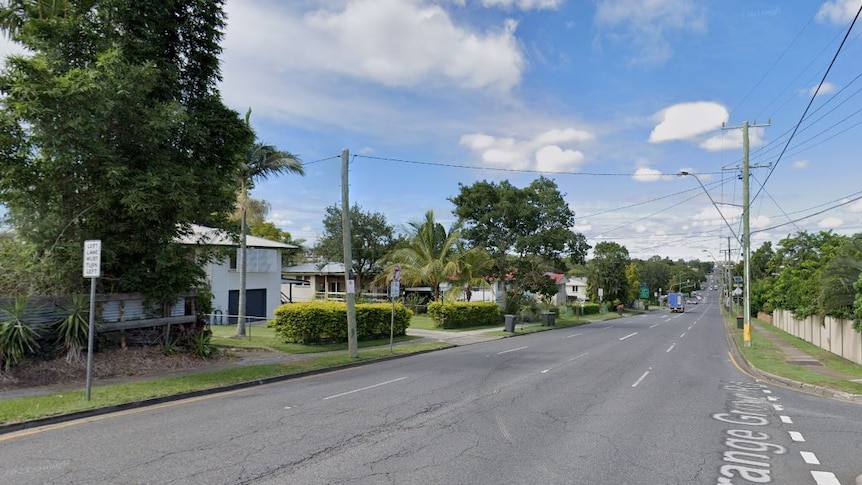 A wide road with trees and single houses on the left.