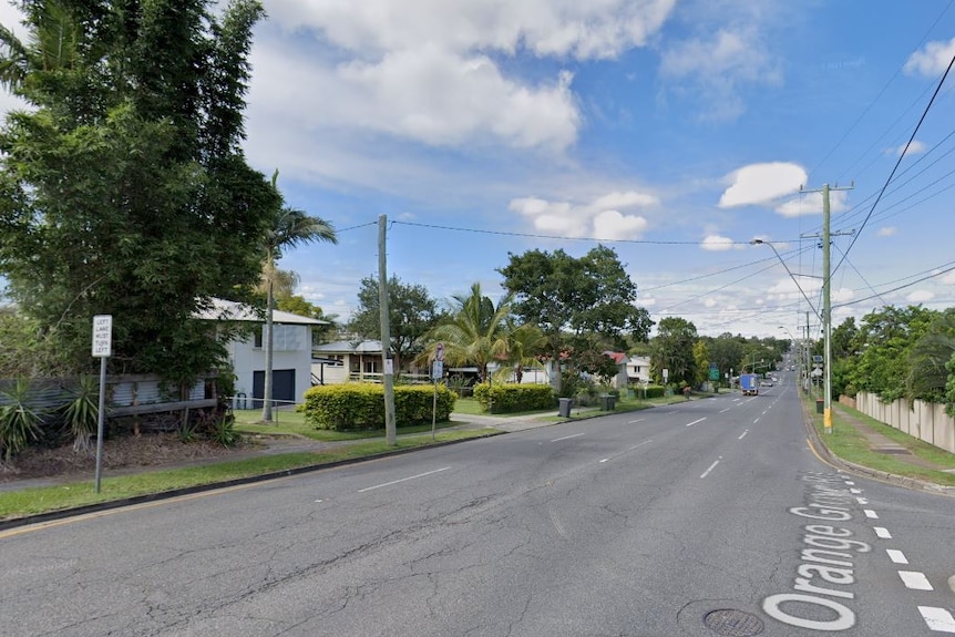 A wide road with trees and single houses on the left.