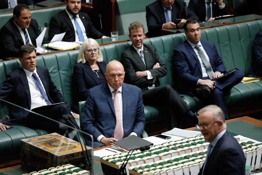 The front bench of the House of Representatives watch Albanese speak. 