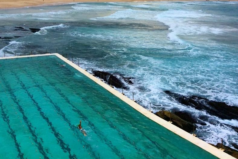 Bondi Icebergs pool