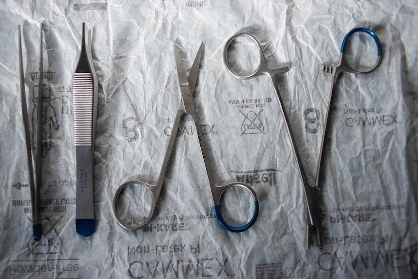Steel tweezers, scissors and clamps with a blue mark on their handle.