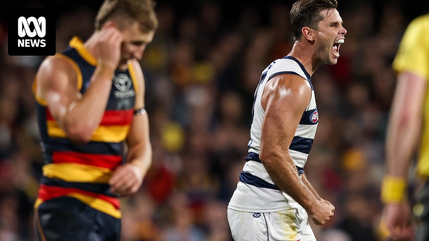 Geelong ist zu klinisch für Adelaide, da Tom Stewart in Spiel 150 glänzt und Druck auf die Crows ausübt