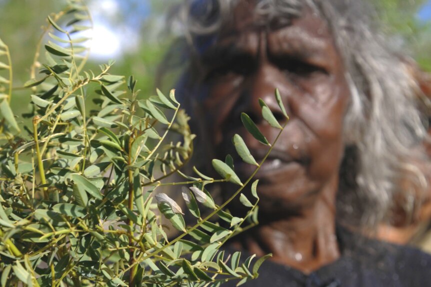 A woman holds a bush plant in front of her face. She is in the background. 