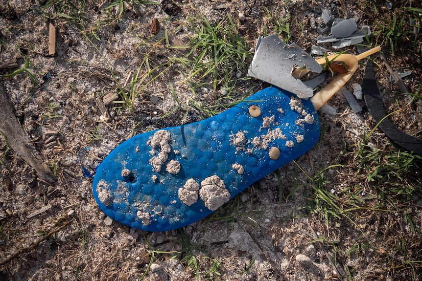 Shoe sole washed up on Home Island's ocean coast