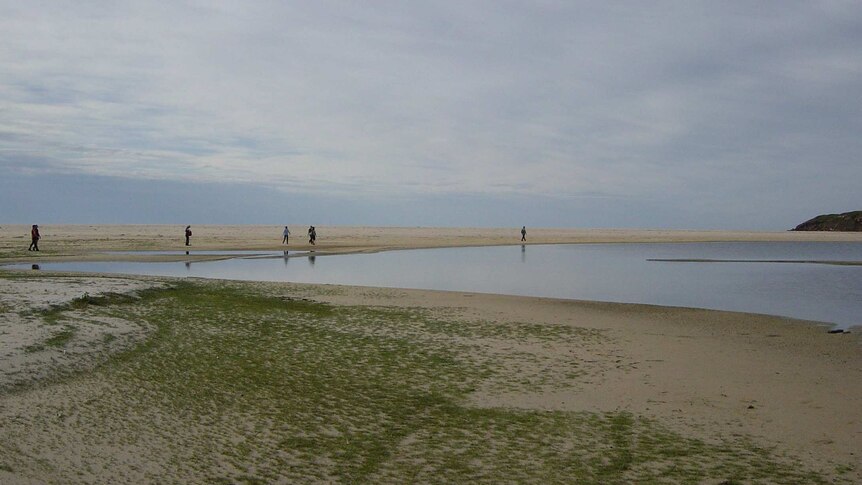 Walkers near Nadgee Lake, recreating the 1797 journey of seventeen sailors trekking from Ninety Mile Beach to Sydney.