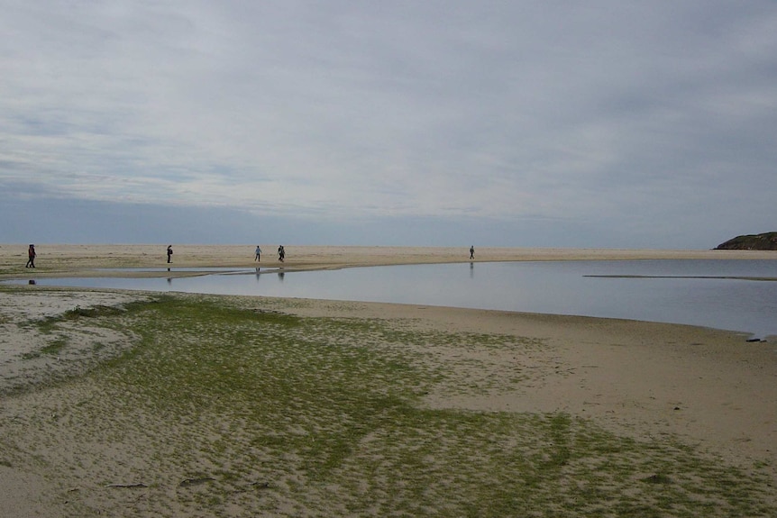 Walkers near Nadgee Lake, recreating the 1797 journey of seventeen sailors trekking from Ninety Mile Beach to Sydney.