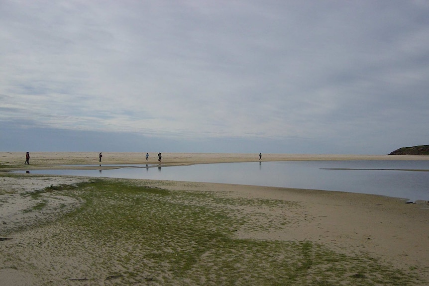 Edge of Lake Nadgee