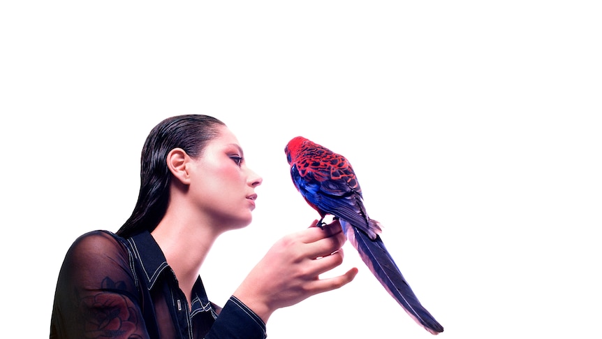 woman with straight black hair wearing black sheer blouse has a bird perched on her hand