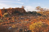 Outback land management plan lacks details says sceptical Pastoralists and Graziers Association
