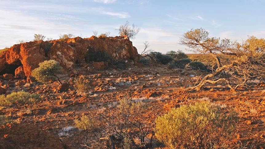 Outback land management plan lacks details says sceptical Pastoralists and Graziers Association