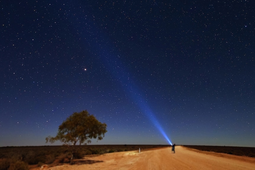 A person holding a torch up to a night sky on a country road
