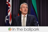 Mark Dreyfus wears glasses and a suit and speaks at a lectern. VERDICT: In the ballpark with a half green and orange asterisk