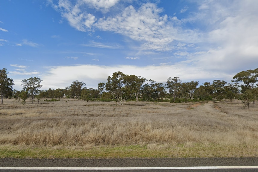 trees, grassland and road in the foreground.