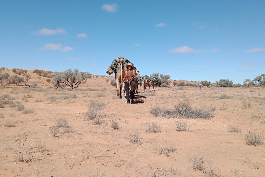 A woman leads a camel trek through the desert