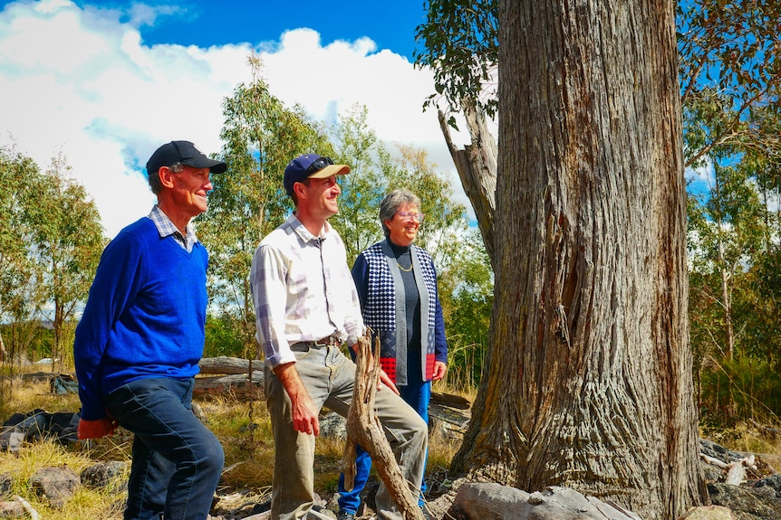 Standing around a large tree, an older man on the left, a man in the midle, and a woman on right.