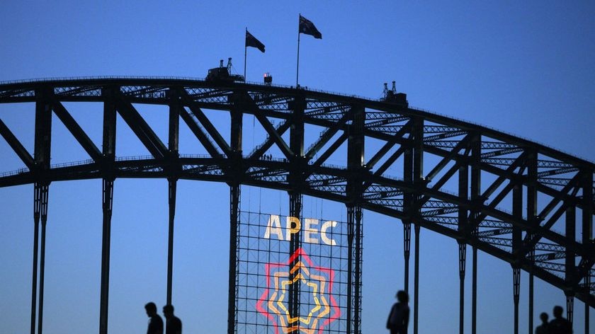 Discussions on education and business have lessened the political feel of the APEC summit.
