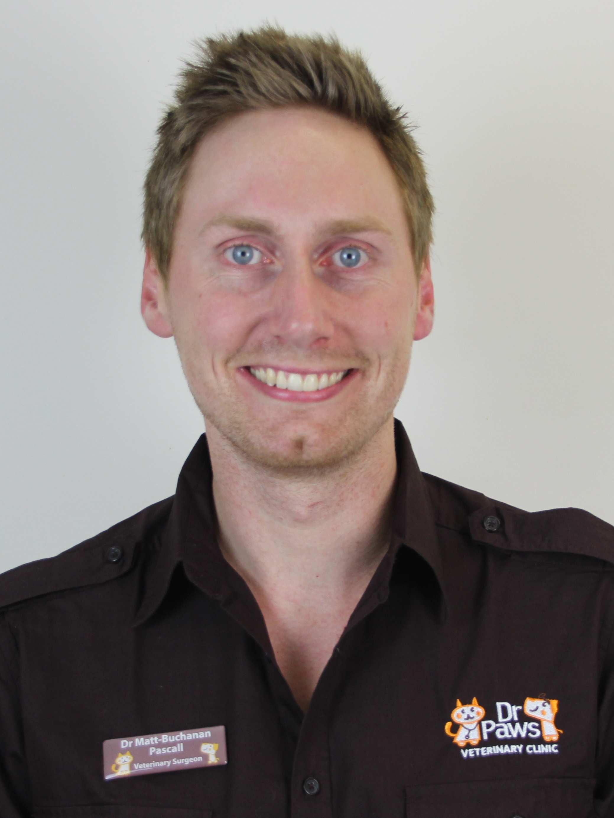 Australian vets help reduce number of homeless and abused dogs in