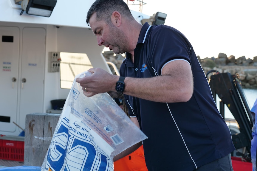 Un pêcheur verse un sac de glace dans un congélateur à bord d'un bateau.