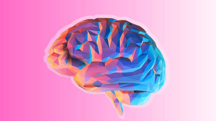 a multicoloured illustration of a brain sits on a pink background