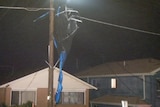 A trampoline is entangled in power lines after storms tore through Sydney suburbs.