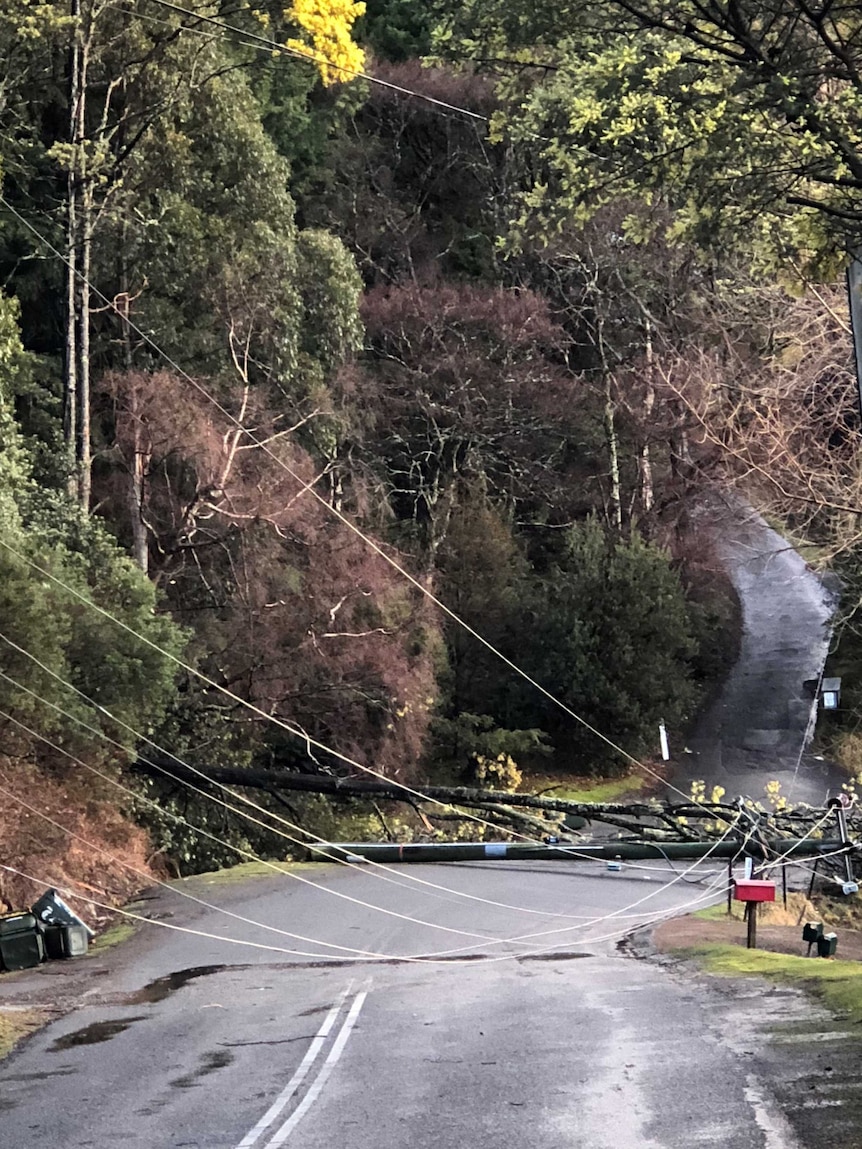 Power lines down at Huon Road Fern Tree August 15, 2018