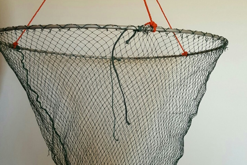 A fishing drop net.