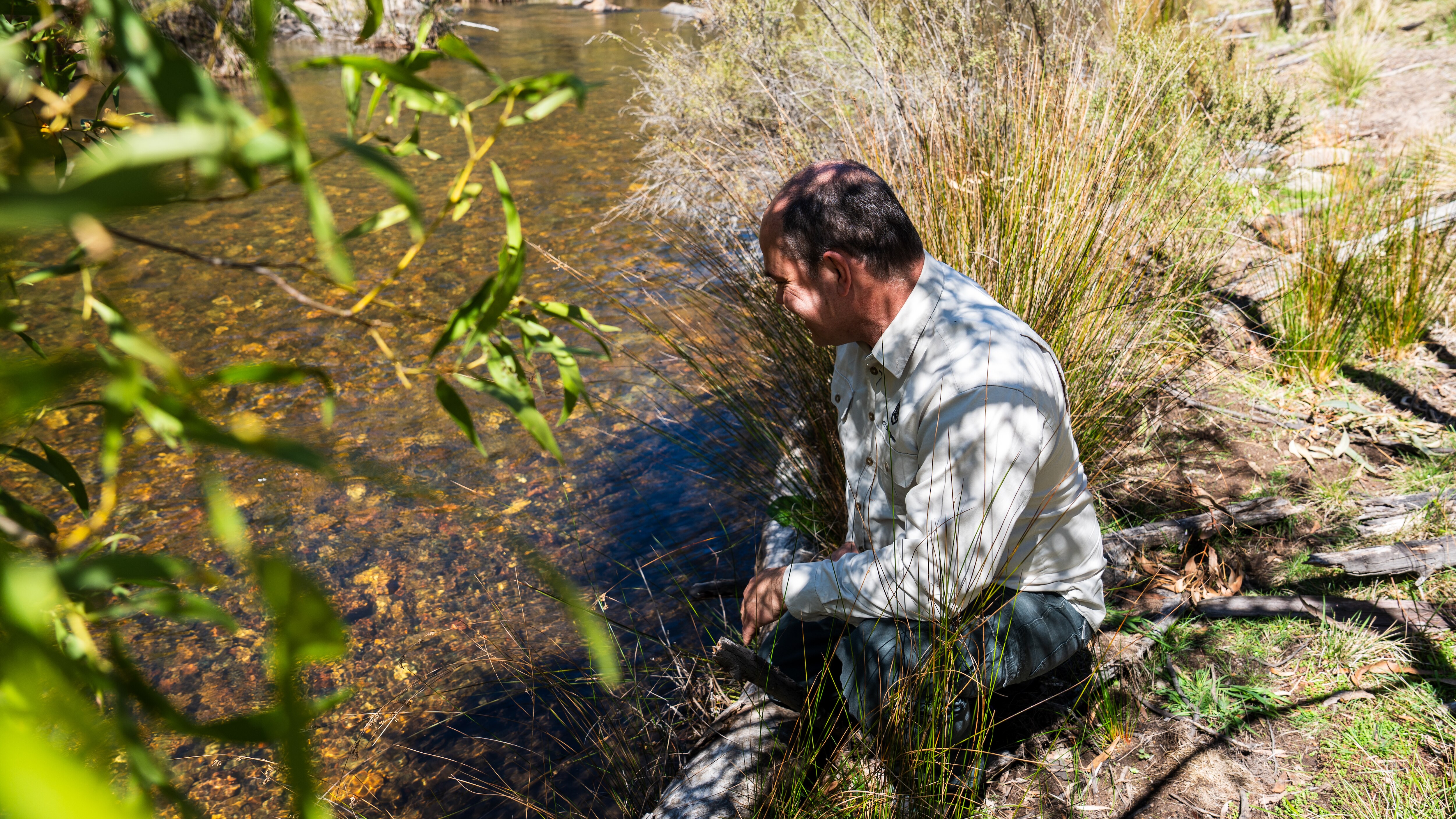 A man wearing a long-sleeved button-down shirt kneels on the bank of a slow moving freshwater river in the bush.