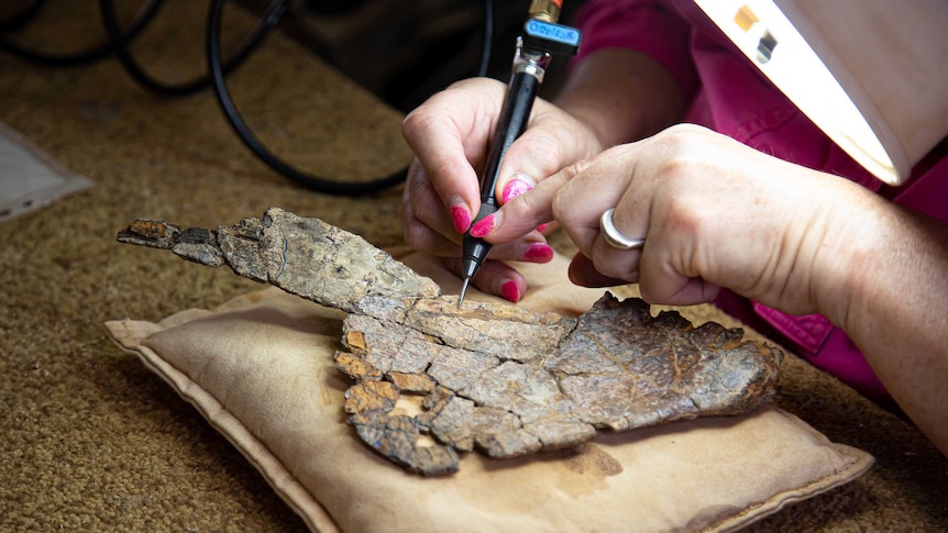 Close-up of fossil being prepared by a person wearing bright pink nail polish