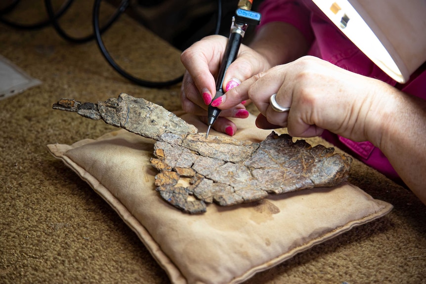 Close-up of fossil being prepared by a person wearing bright pink nail polish