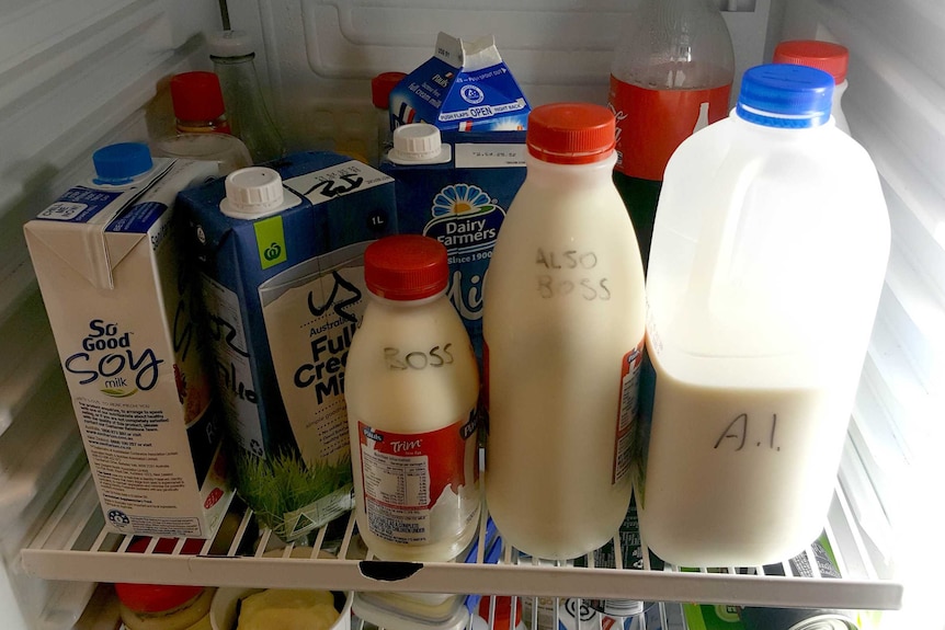 Bottles of milk marked 'boss' and 'also boss' in the office fridge