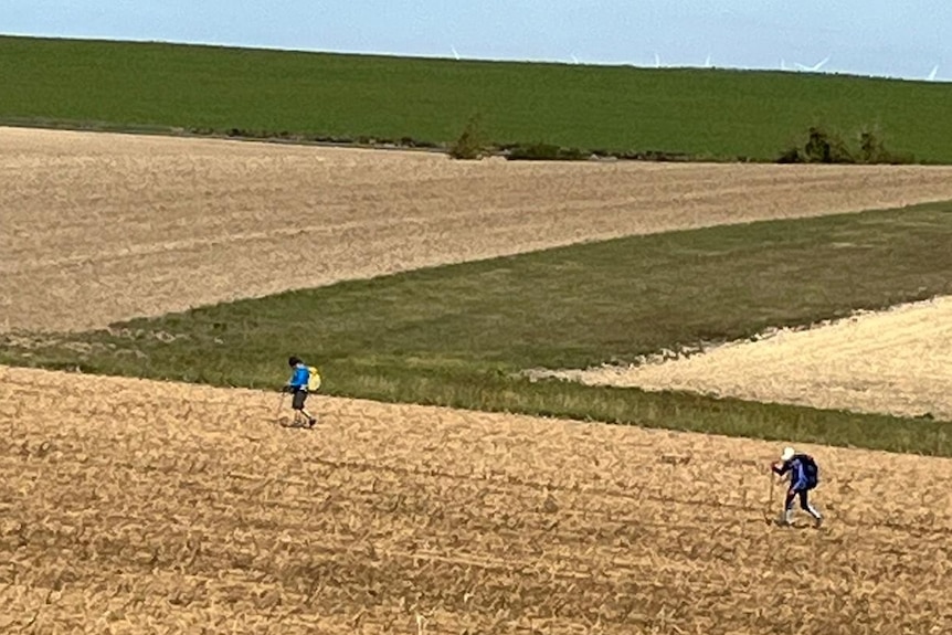 The Wongster is pictured on a pilgrimage through wide open fields in rural France