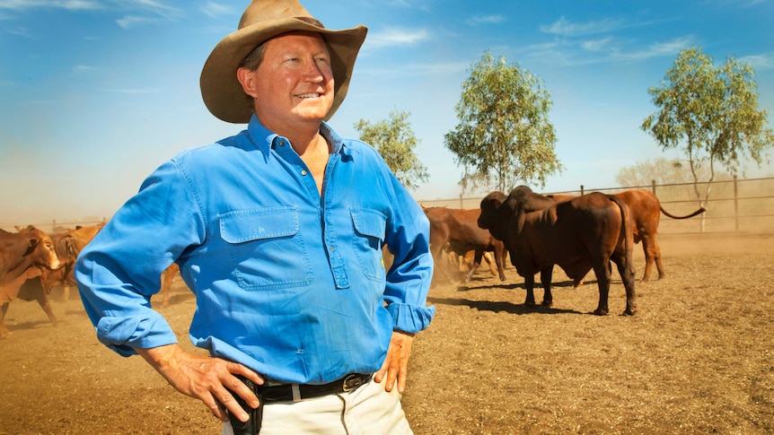 Andrew Forrest wears a hat and blue shirt and is standing in front of cattle.