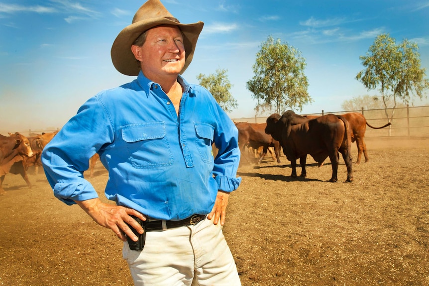 Andrew Forrest stands with hands on hips near cattle at his property.