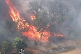 Several trees are seen from above as red flames light up the landscape. The area is thick with smoke