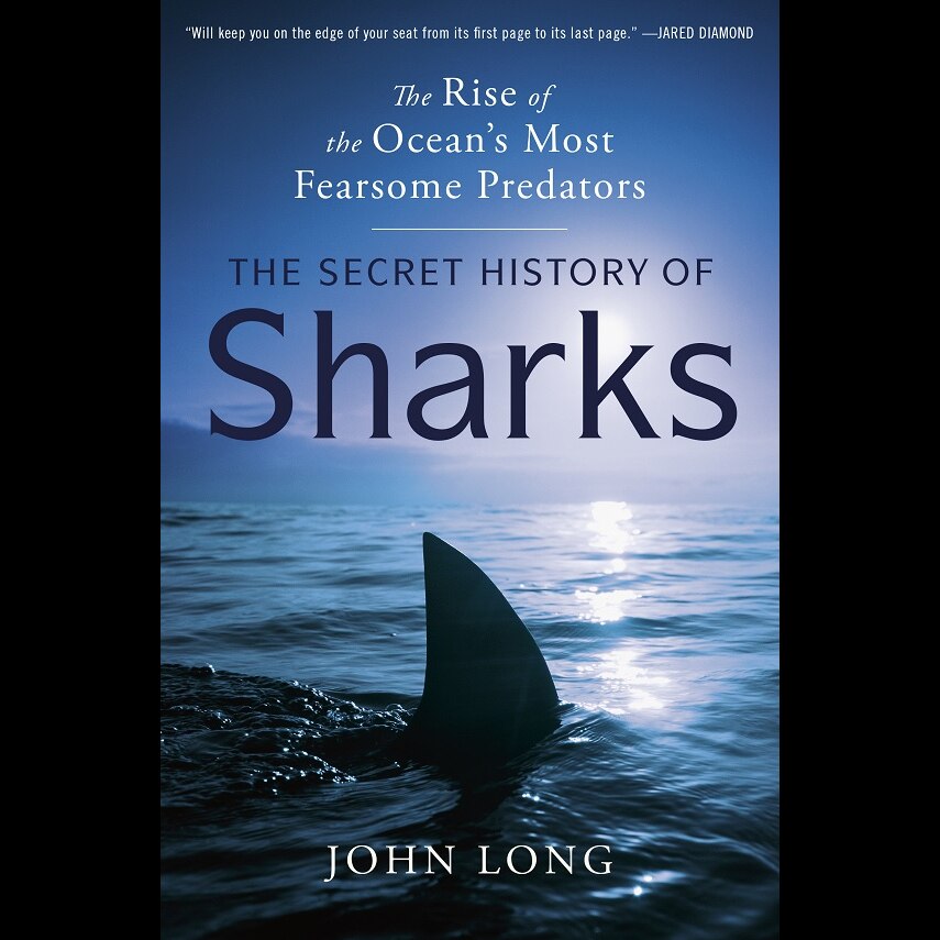 Sharks the great survivors now under threat