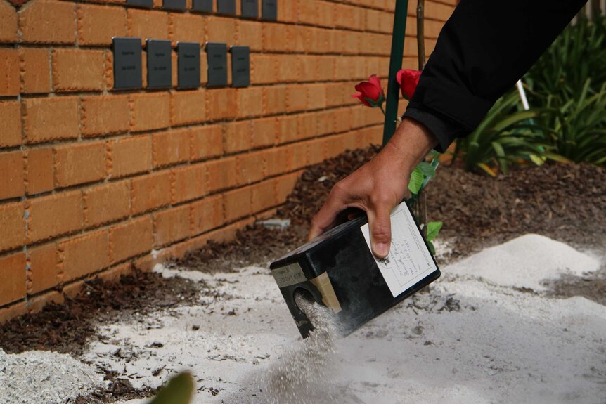 A person scatters unclaimed ashes at a garden in a funeral home at Ballarat