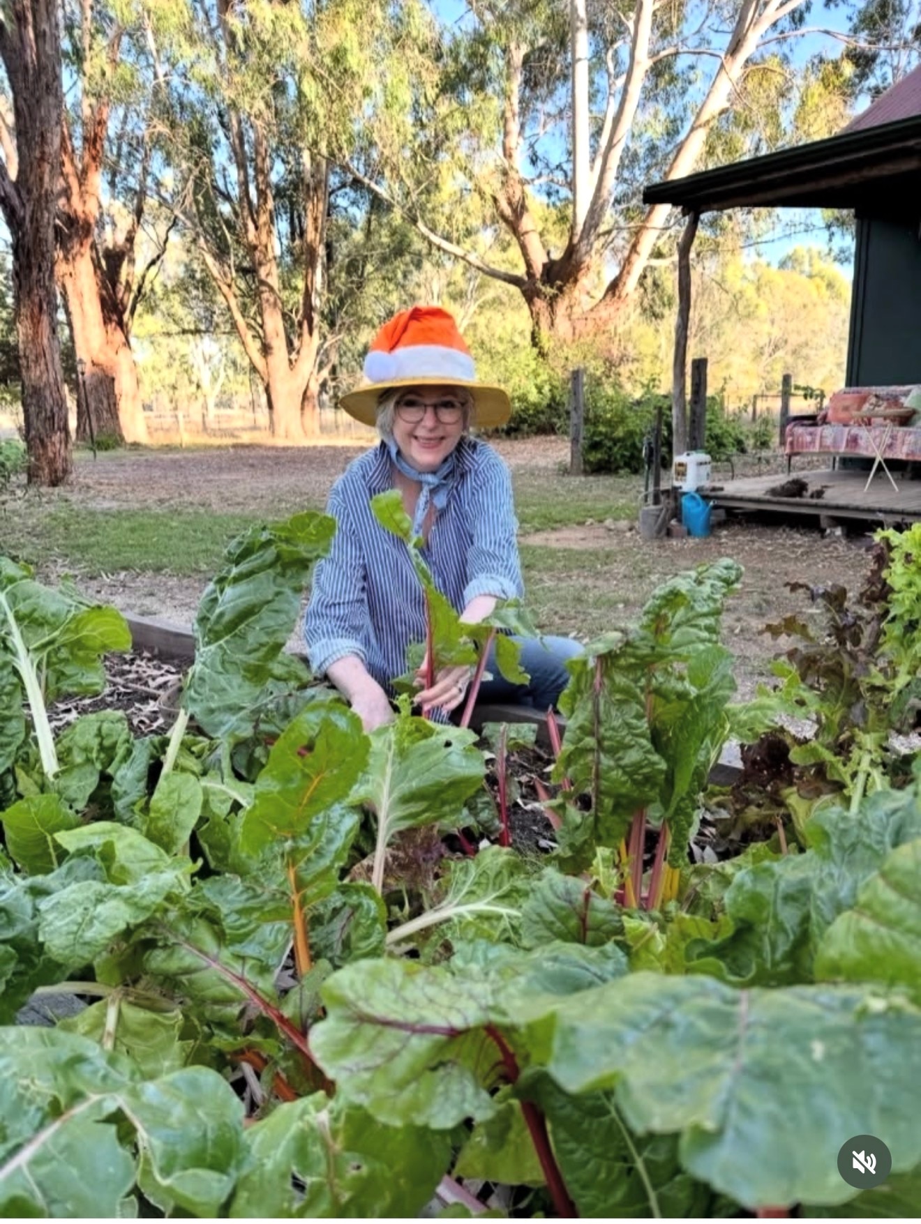 woman in veggie patch