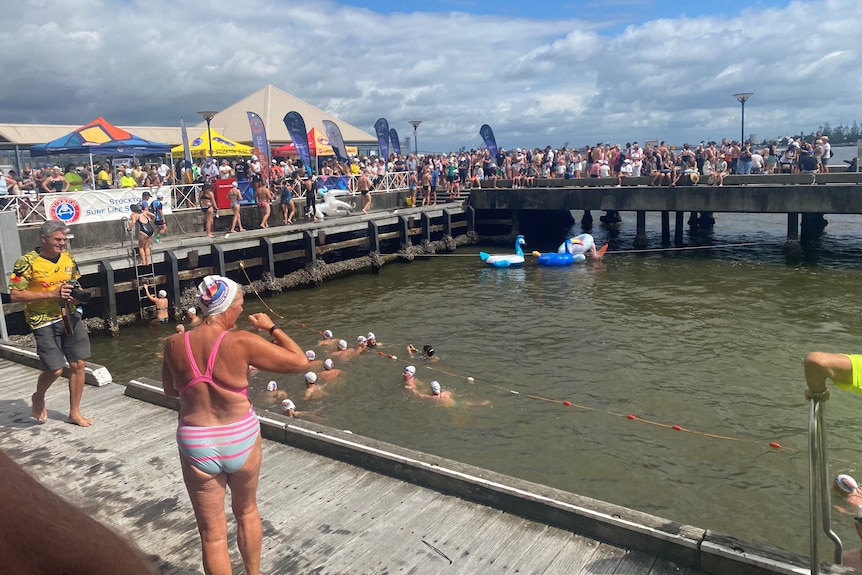 A crowd watching a swimming event in a harbour.