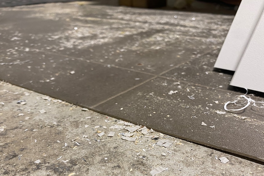 Speckles of white dust on a concrete floor.