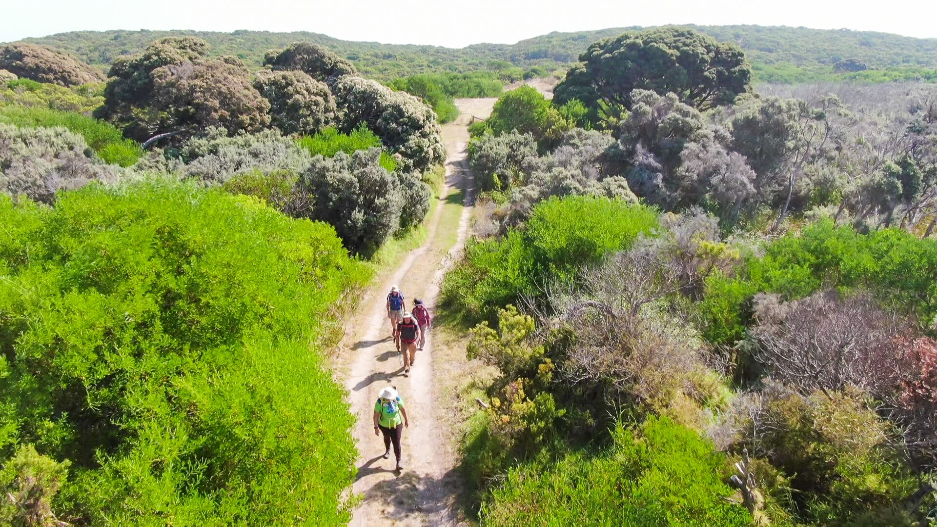 Walkers make their way along a dirt track between green shrubbery