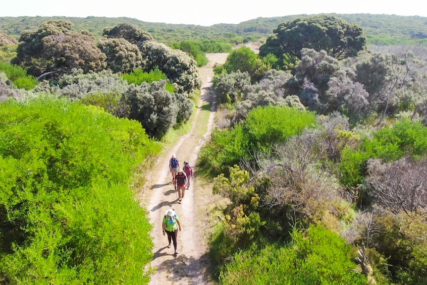 Walkers make their way along a dirt track between green shrubbery