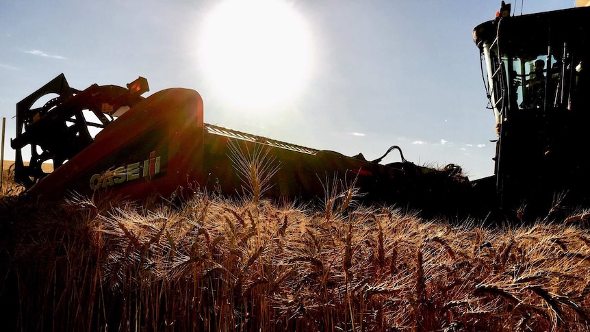 A harvester in the field